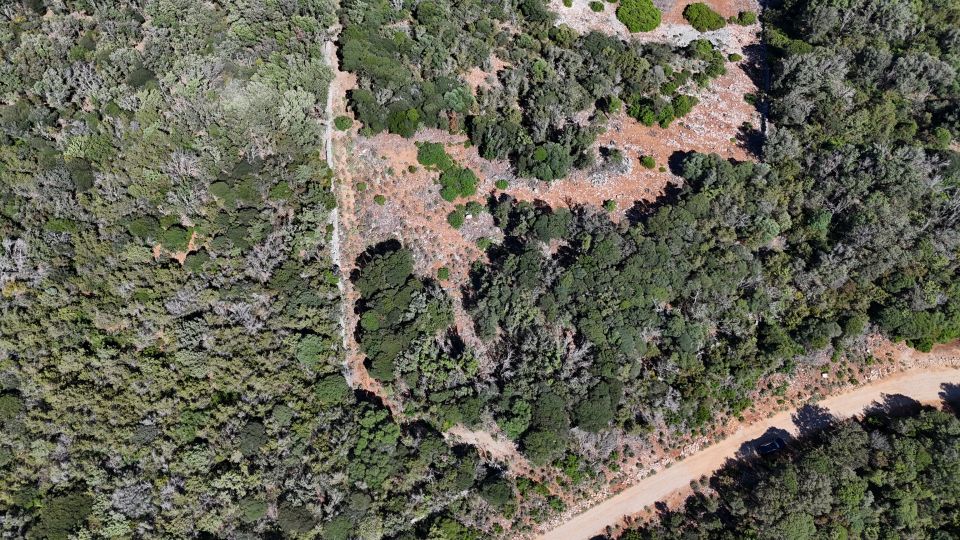 original_1782377742_dji_20260612160532_0011_d.jpg