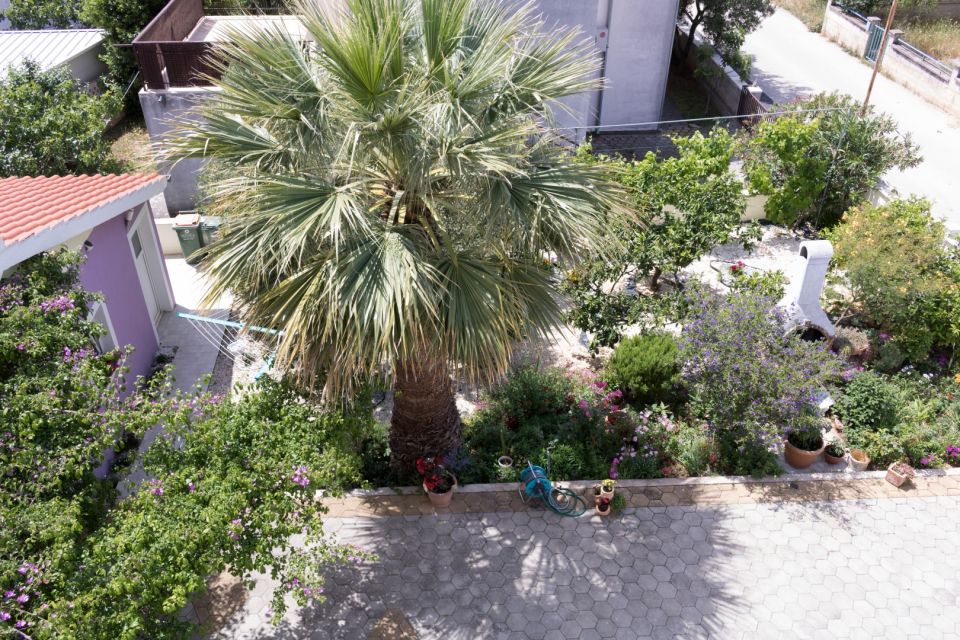 original_1778749943_img_8577.jpg