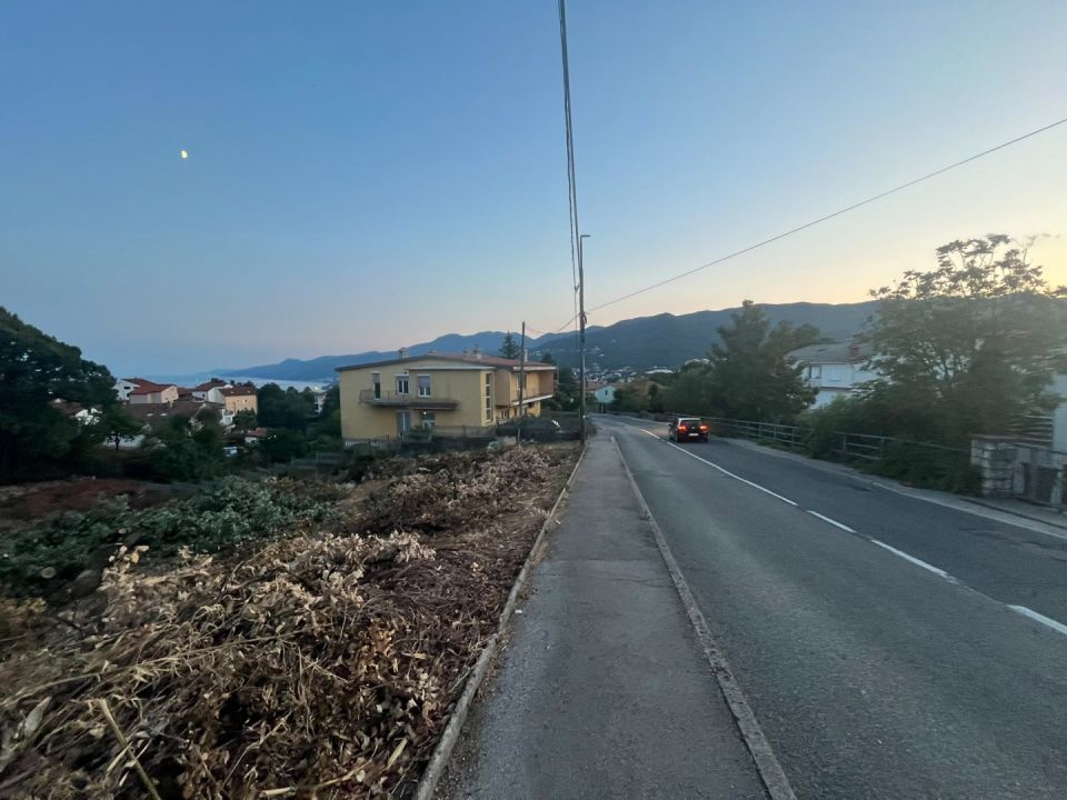 original_1784771191_148467.jpg