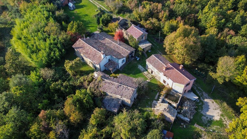 original_1733749792_dji_0996.jpg