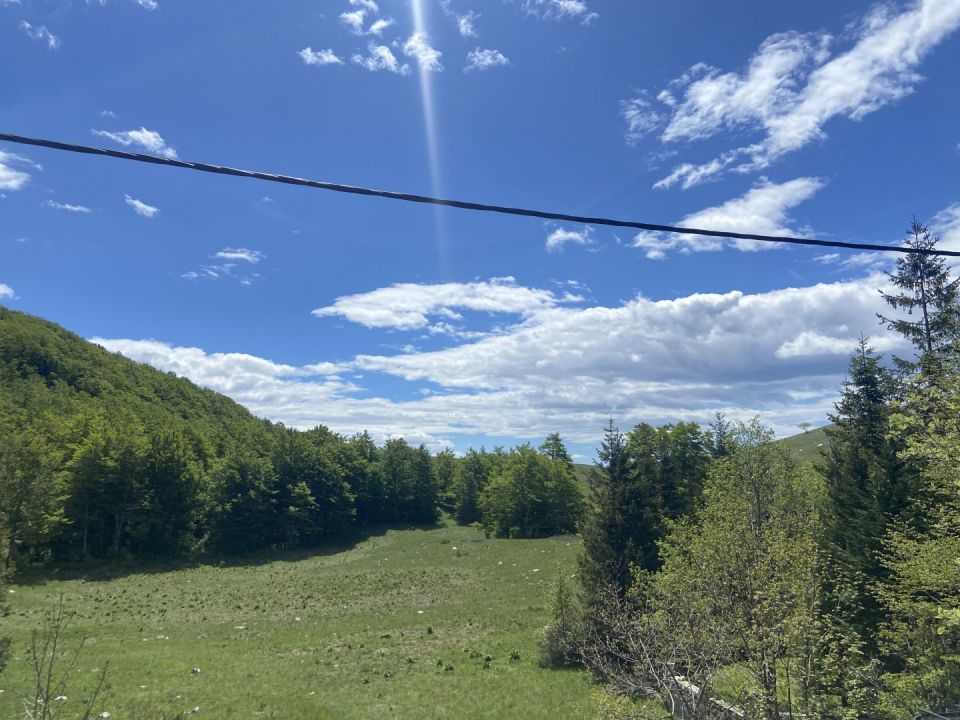 original_1779446426_img_4224.jpeg