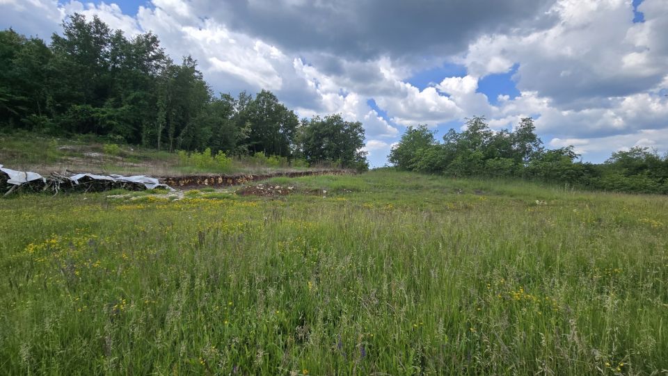 original_1779127855_1000215685.jpg