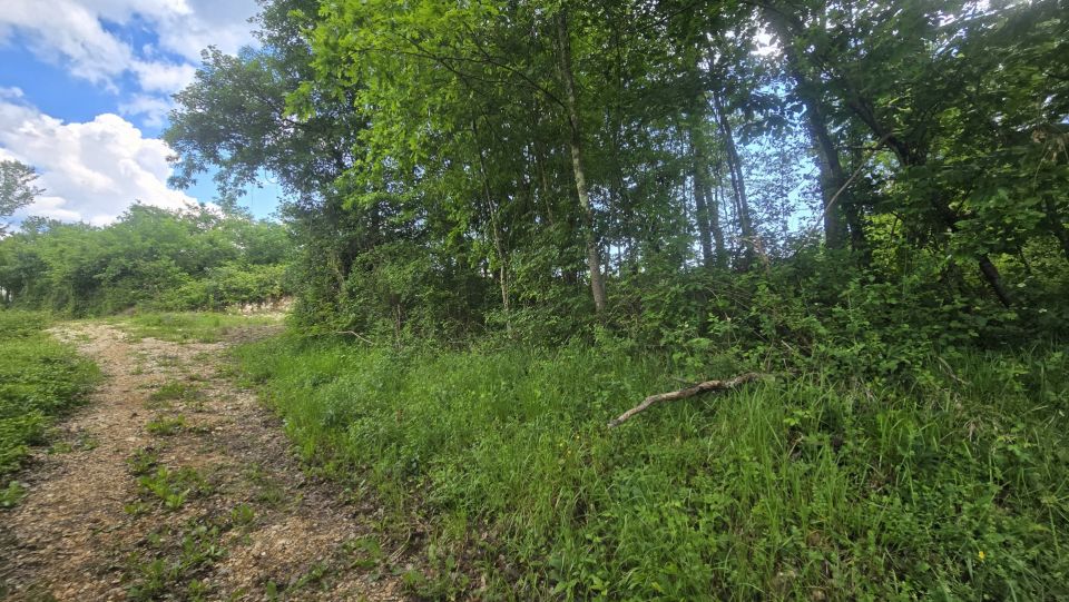 original_1779127920_1000215699.jpg
