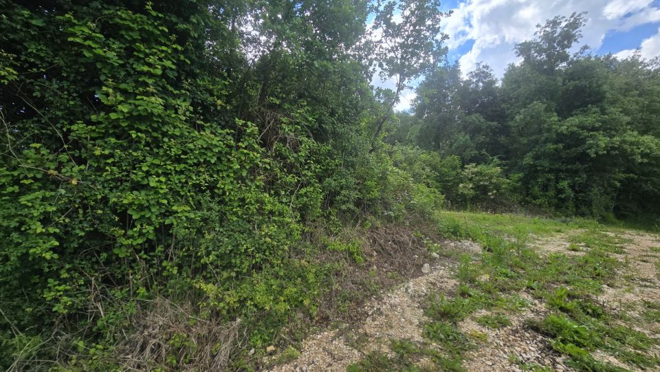 original_1779127925_1000215700.jpg