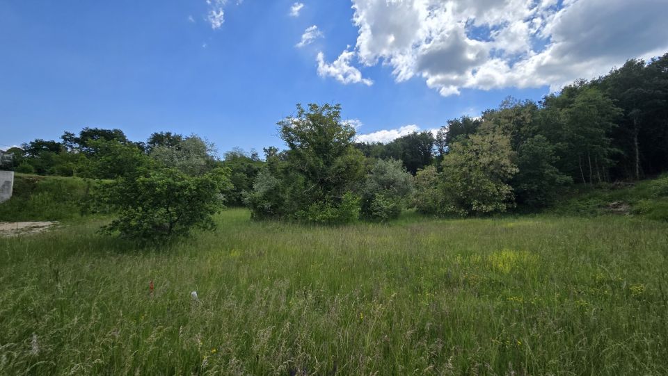 original_1779127859_1000215686.jpg