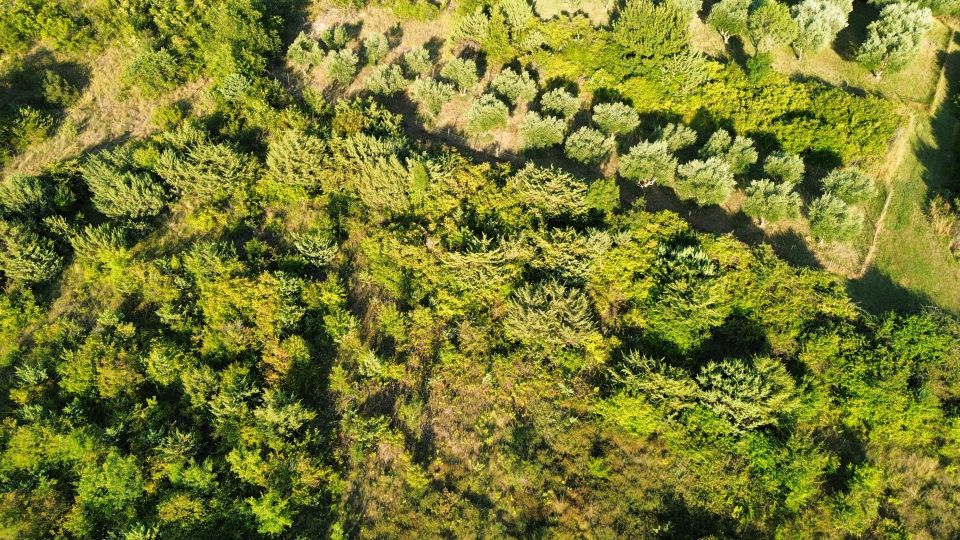 original_1783418015_dji_fly_20260704_132808_266_1783415116821_photo_optimized.jpg
