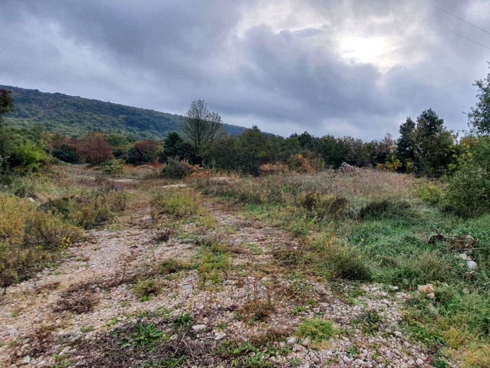 original_1779997487_istra-gradevinsko-zemljiste-prodaja-31.jpg