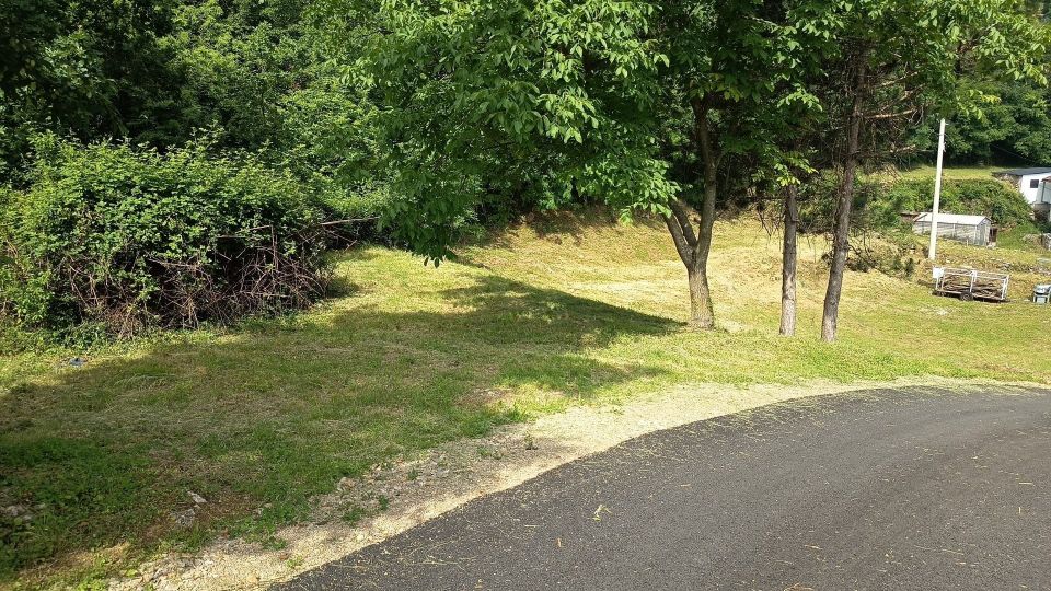 original_1780058310_127451.jpg