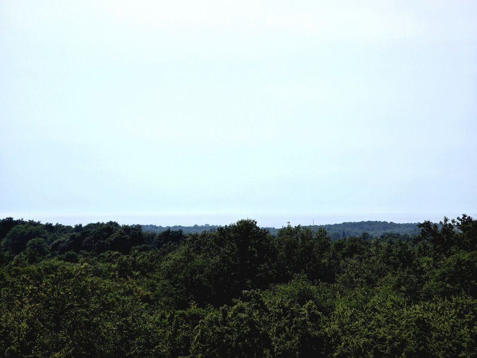 original_1780074607_1000088432.jpg