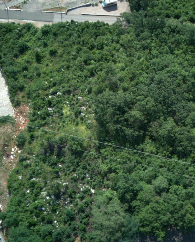 original_1782331799_dji_20260623092242_0060_d_cr.jpg