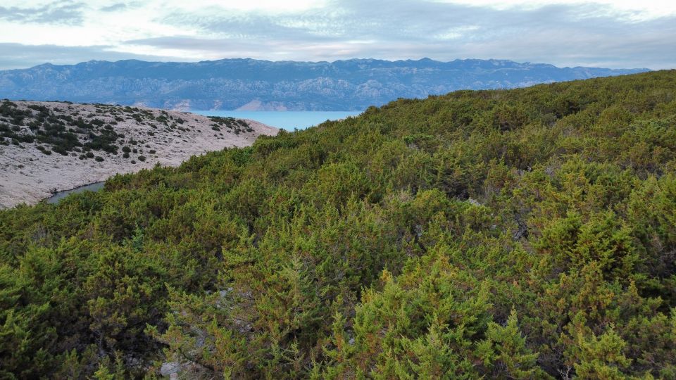 original_1780931095_dji_fly_20260605_200516_128_1780682725911_photo_optimized.jpg