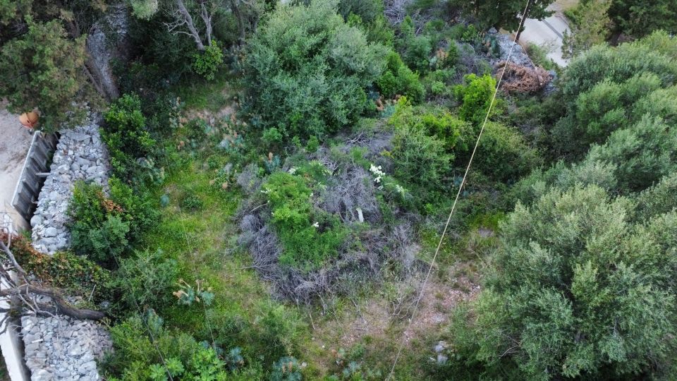original_1780999175_dji_fly_20260605_204536_142_1780685183098_photo_optimized.jpg
