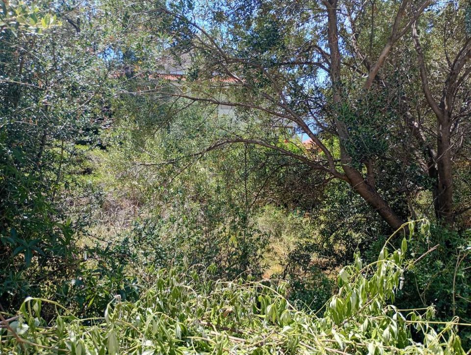 original_1782159790_img_20260617_140941414_hdr.jpg