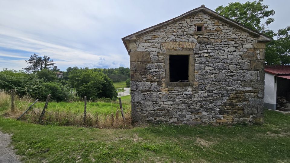 original_1781511315_1000220992.jpg
