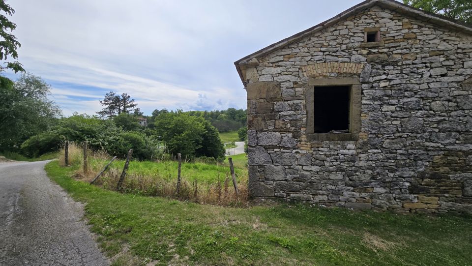 original_1781511322_1000220993.jpg