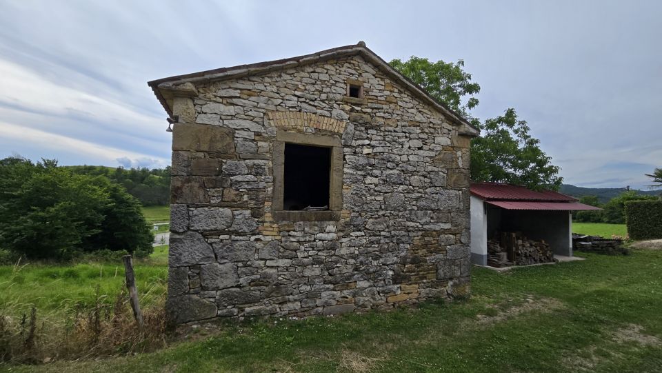 original_1781511361_1000221003.jpg
