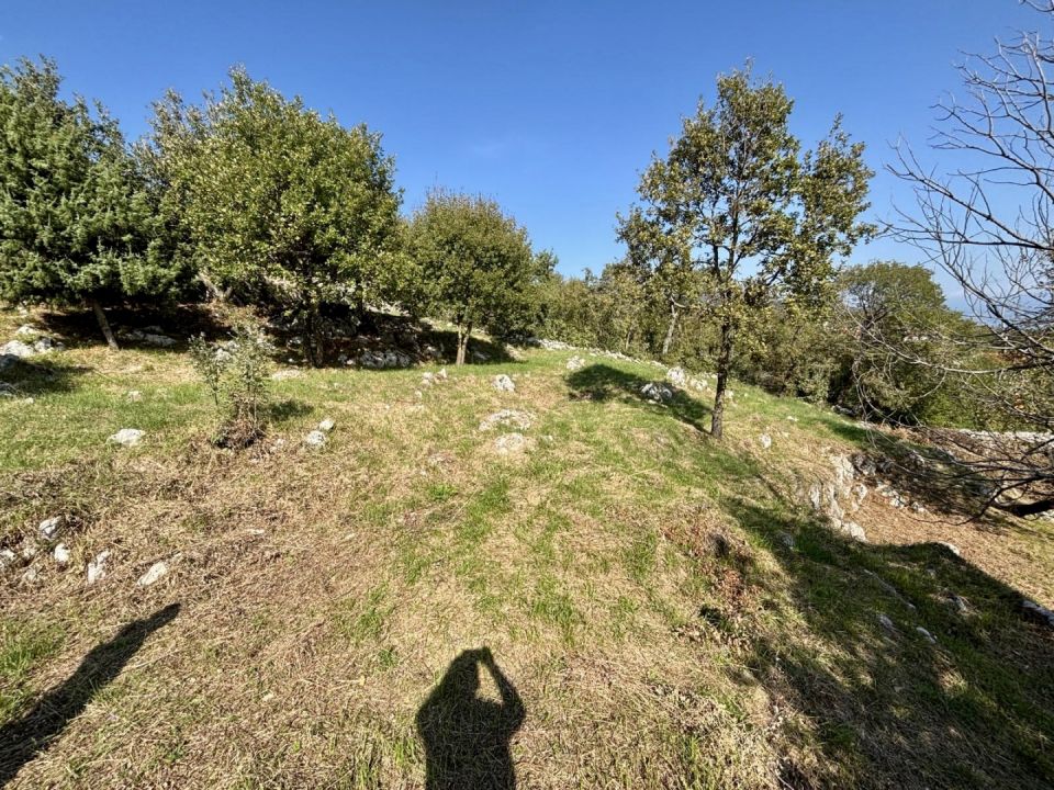 original_1781613409_01df3367-0cf6-4705-982d-15942cc9e434.jpeg