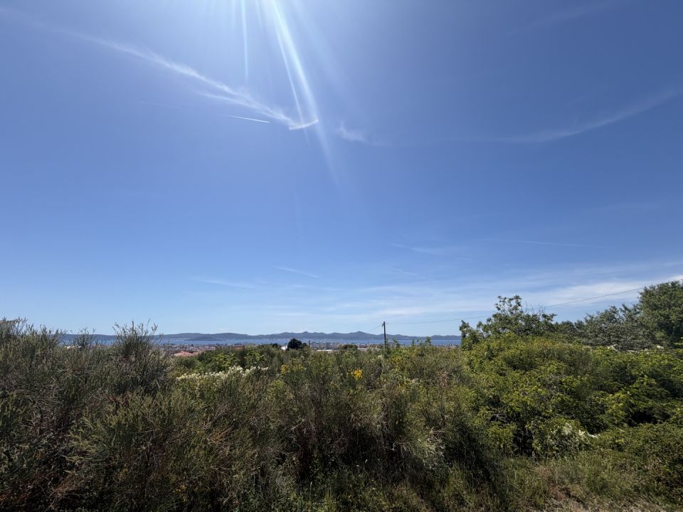 original_1781700531_img_4291.jpg