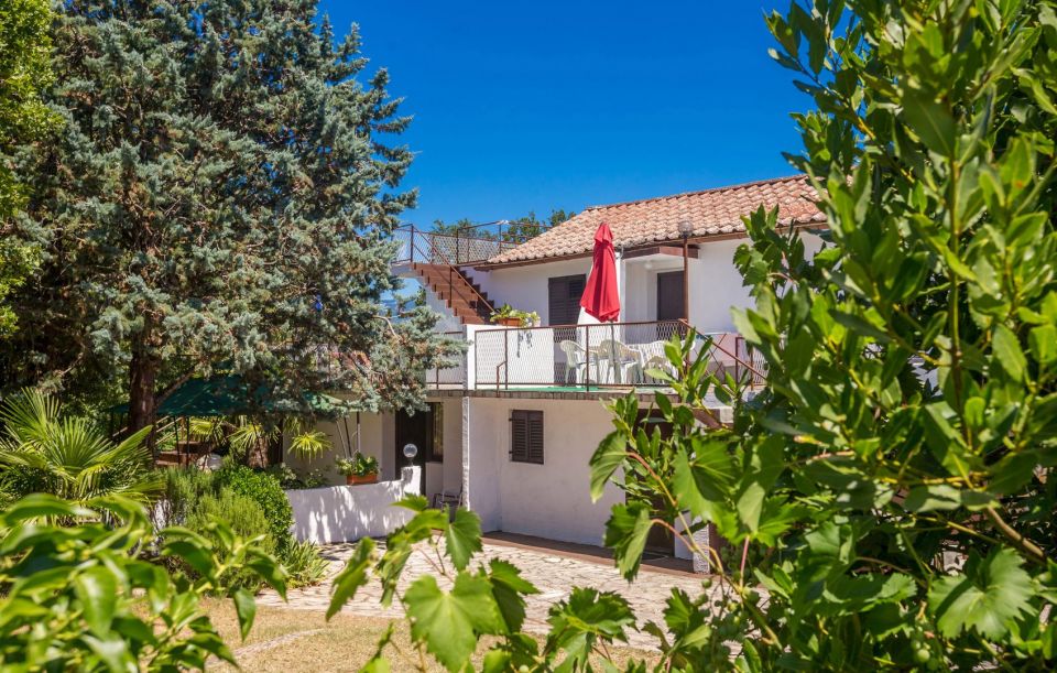 original_1699198499_img_5478.jpg