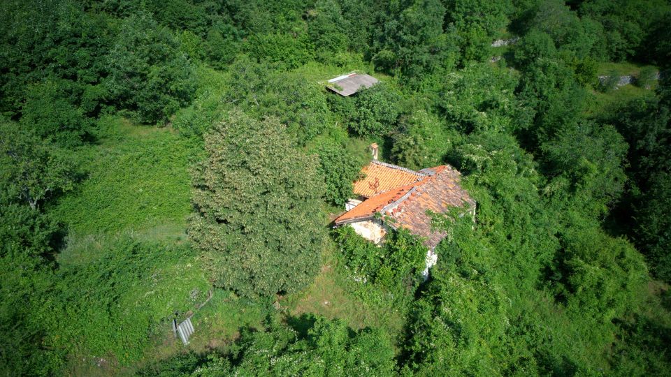 original_1782335653_dji_20260623085501_0024_d.jpg