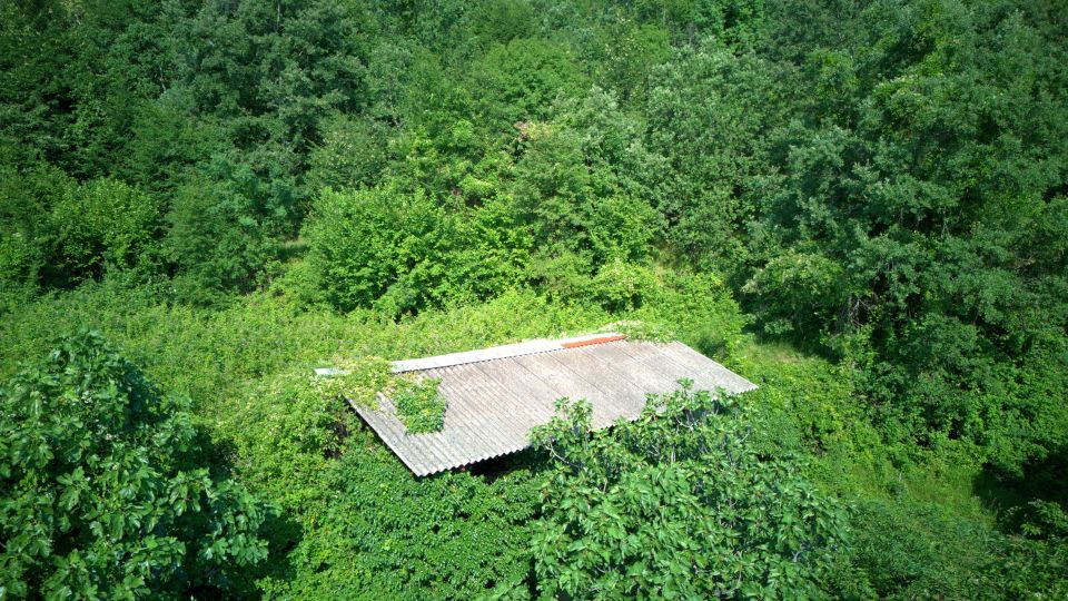 original_1782335677_dji_20260623085555_0028_d.jpg