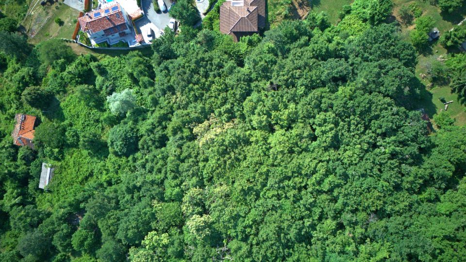 original_1782335620_dji_20260623085047_0014_d.jpg