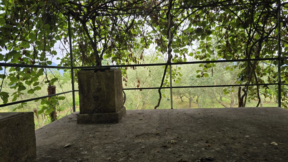 original_1784107165_1000228122.jpg
