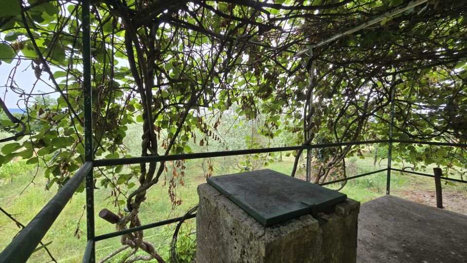 original_1784107185_1000228125.jpg