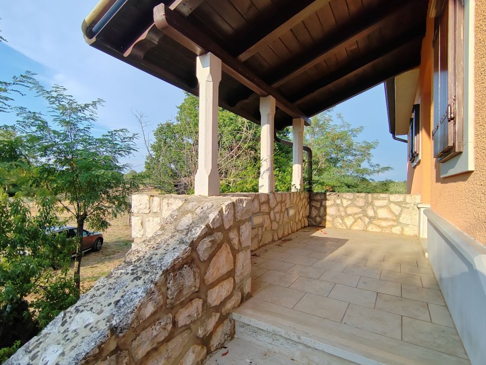 original_1784721779_1000077280.jpg