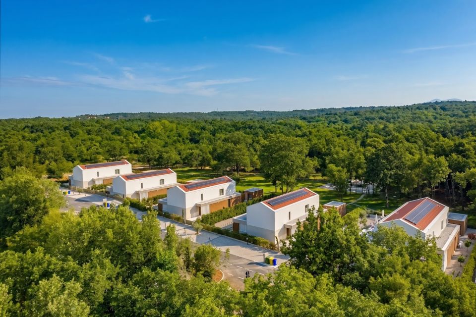 original_1782987660_dji_20260701113652_0262_d.jpg