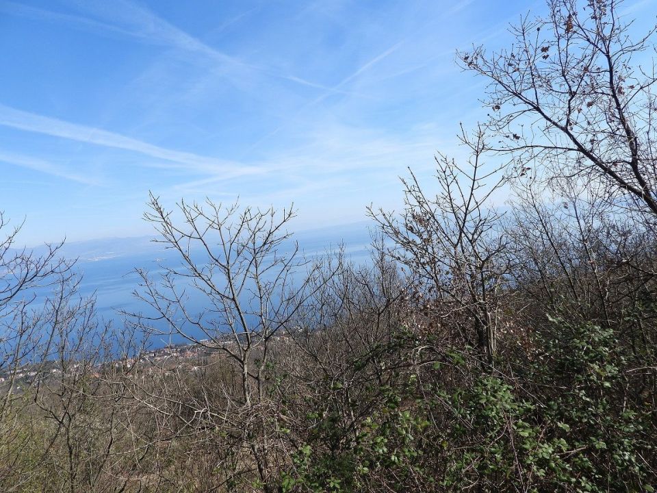 original_1553601282_dscn1011.jpg