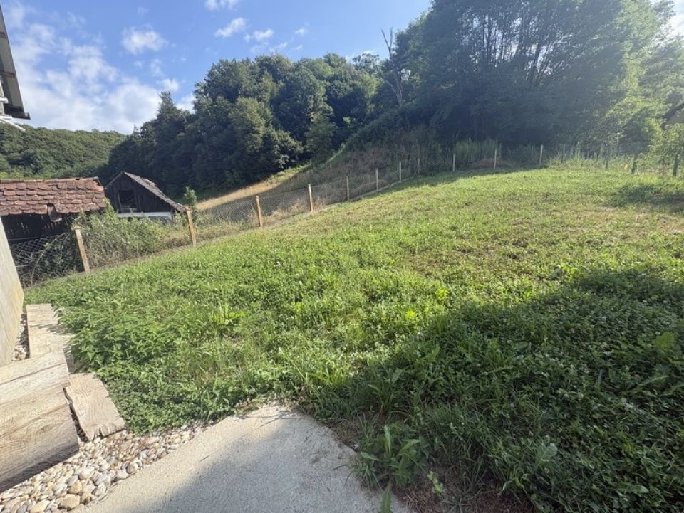 original_1785487183_img_3250.jpeg