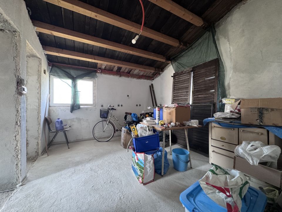 original_1786019071_img_9037.jpg