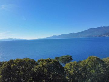 original_1730739285_dji_fly_20241104_110242_787_1730714574855_photo_optimized.jpg