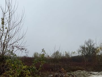 original_1732702948_img_3076.jpeg