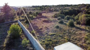 original_1734018339_dji_fly_20241212_145740_118_1734016877071_photo_optimized.jpg