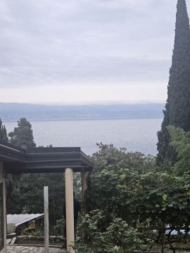 original_1729182109_1000118111.jpg