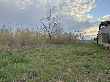 original_1742241454_img_8004.jpg