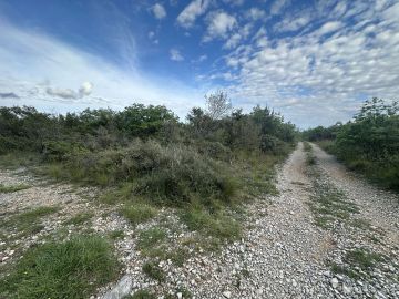 original_1745841198_img_9436.jpg