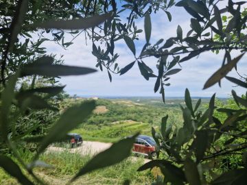 original_1748452054_istra-buje-samostojeca-kuca-panoramskog-pogleda-8.jpg
