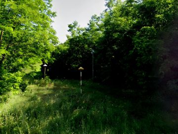 original_1749934538_istra-barban-gradevinsko-zemljiste-prodaja.jpg
