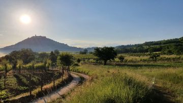 original_1753435709_motovun-5629316.jpg