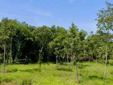 original_1756759862_istra-gradevinsko-zemljiste-prodaja-27.jpg