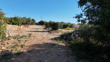 original_1759157996_slika-341.jpg