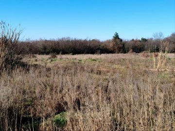original_1777924625_croatia-istria-real-estate-for-sale-787.jpg