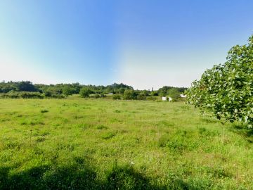 original_1779116101_croatia-istria-real-estate-for-sale-800.jpg