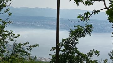 original_1780058306_127452.jpg