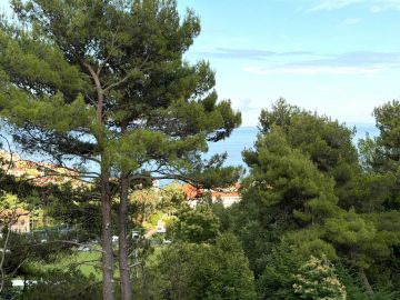 original_1782473724_whatsapp-image-2026-06-26-at-08.jpeg